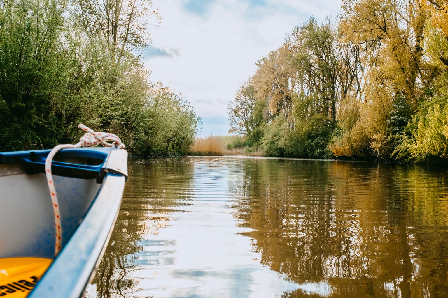 Bevers spotten in de Biesbosch Summit Stories Bevers spotten in de Biesbosch Summit Stories