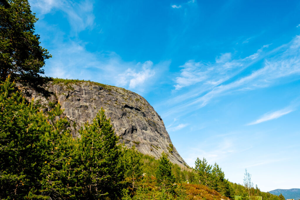 Løefjell